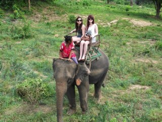 Elephant Trek