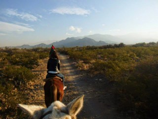 Horse Trekking Andes