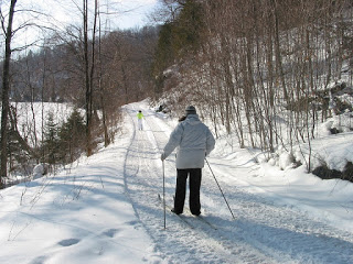 Cross Country Skiing