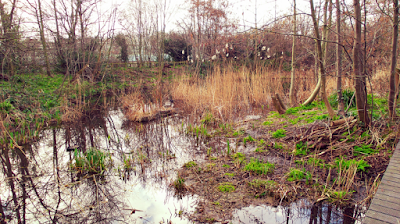 Camley Street Natural Park Camley Street Natural Park